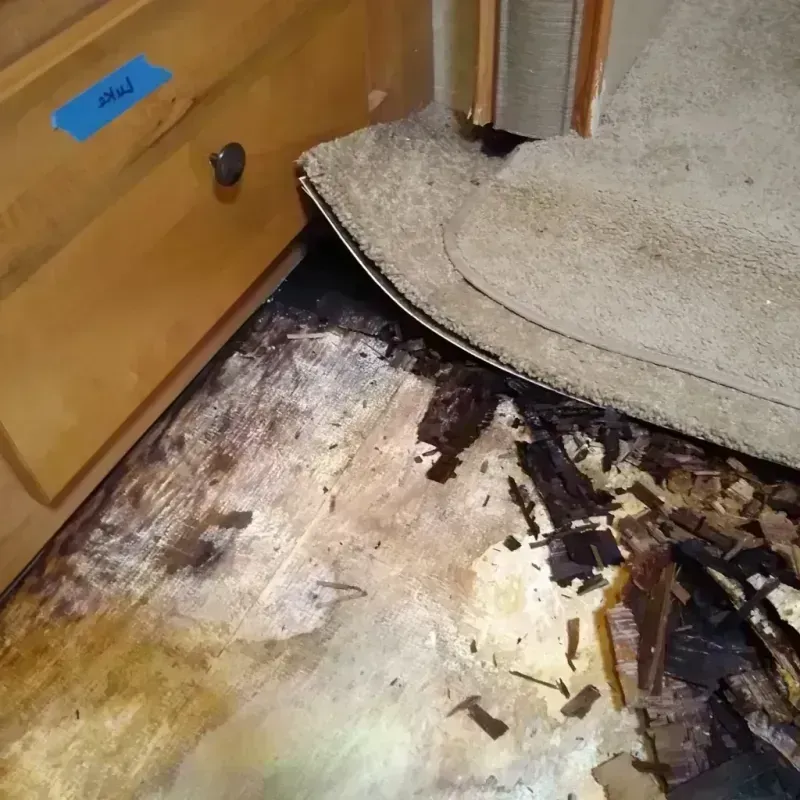 Wood Floor Water Damage in Theodore, AL